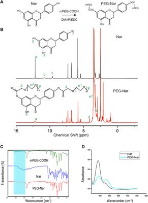 Application of the pH-Responsive PCL/PEG-Nar Nanofiber Membrane in the Treatment of Osteoarthritis